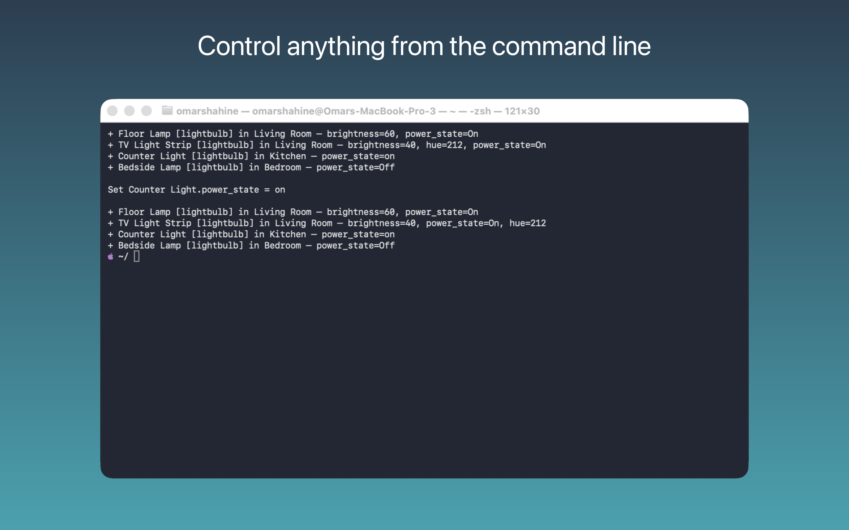 CLI — toggle and inspect any accessory